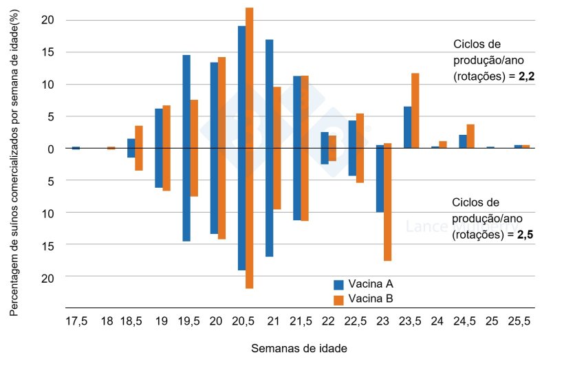 Figura 3: S&atilde;o duas explora&ccedil;&otilde;es, mas uma com menor varia&ccedil;&atilde;o nas taxas de crescimento, o que significa menos porcos de crescimento lento devido &agrave;s diferen&ccedil;as no programa de vacina&ccedil;&atilde;o. Menos porcos de crescimento lento significam que os pavilh&otilde;es podem ser esvaziados mais cedo sem incorrer em tantas penaliza&ccedil;&otilde;es.